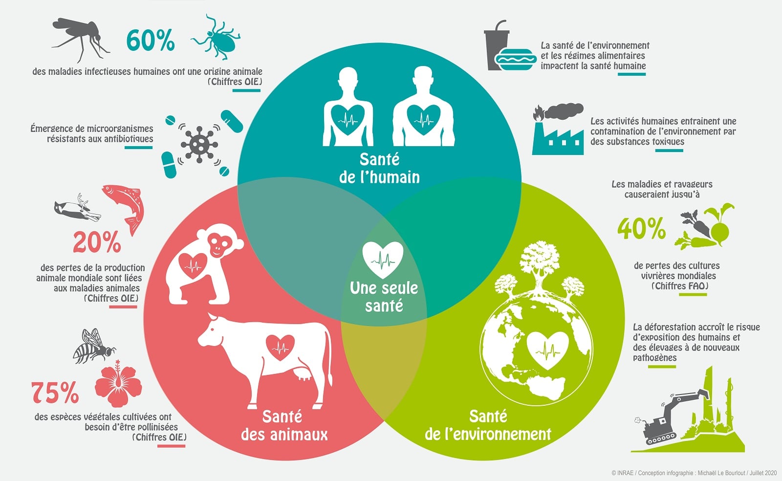 Diagramme de Venn montrant la notion de One Health, à l'interaction de la santé de l'humain, la santé des animaux et la santé de l'environnement. 